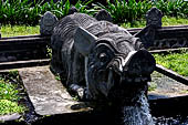 Tirtagangga, Bali - Details of the various fountains pouring water in the ponds.