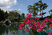 Tirtagangga, Bali - The south pond.