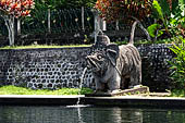 Tirtagangga, Bali - Details of the various fountains pouring water in the ponds.