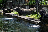 Tirtagangga, Bali - Details of the various fountains pouring water in the ponds.