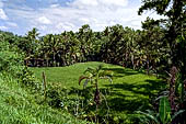 Rice fields near Yeh Pulu.