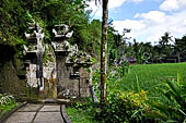 Rice fields near Yeh Pulu. 