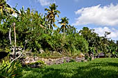 Rice fields near Yeh Pulu.