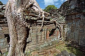 angkor preah khan cambodia stock photographs