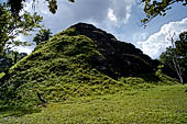 Tikal - Pyramid (5C-54) of the 