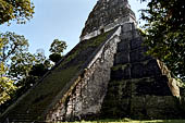 Tikal - Temple V.