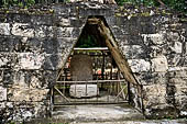 Tikal - Twin Pyramid Complex, North Enclosure.