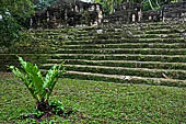 Tikal - 