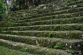 Tikal - 