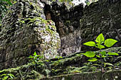 Tikal - 