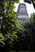 Tikal - Roof comb of Temple III reaching 60 meters from the groping jungle.