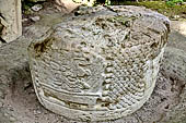 Tikal - Altar 7 at the foot of Temple III. The carvings show a deity head, a mat pattern frames the subject.