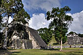 Tikal - 