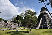 Tikal - 