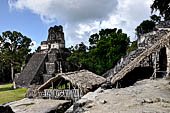 Tikal - 