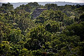 Tikal - Pyramid of the 