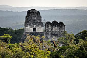 Tikal - The roof combs of Temple I and  II seen from the terrace of temple IV. 