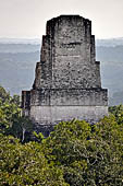 Tikal - Roof comb of Temple III seen from the terrace of temple IV. 