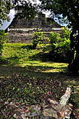 Tikal - 