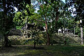 Tikal - 