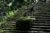 Tikal - 