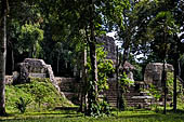 Tikal - Square of the Seven temples ruins among the tropical rainforest vegetation.