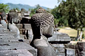 Borobudur - Buddha statues on the balustrades of the lower levels.