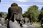 Borobudur - Buddha statues on the balustrades of the lower levels.