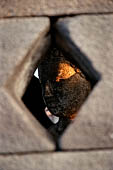 Borobudur - The 'invisible' Buddha's of the upper terraces, normally seen by peering trough openings in the stupa.