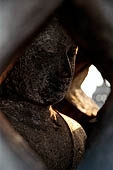 Borobudur - The 'invisible' Buddha's of the upper terraces, normally seen by peering trough openings in the stupa.