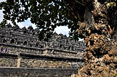 Borobudur - The outer wall of the first balustrade decorated with reliefs of celestial beings and guardian demons.