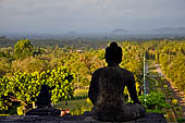 Borobudur - Buddha statues on the balustrades of the lower levels. 