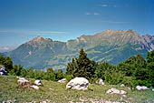 Piani di Bobbio, Il gruppo delle Grigne. 