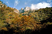 Man mano che ci si avvicina al rifugio Monzesi appare la cresta dentellata del Resegone 