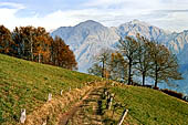 Il sentiero che porta da Pasturo al Rifugio Tedeschi, la vista spazia verso lo Zuccone Campielli aldil della Valsassina. 