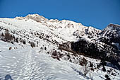 Una volta completato il giro della conca sotto la cima di Bares si giunge alla Malga di Campo da dove volgendosi indietro si hanno varie viste della conca ai piedi della Presolana.