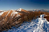 Monte Bolettone, sullo sfondo le Grigne.