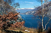 Il lago di Como visto dal monte Barro