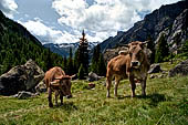 Val di Mello 