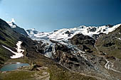 Valtellina Parco dello Stelvio - Ghiacciaio dei Forni.