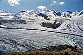 Valtellina Parco dello Stelvio - Ghiacciaio dei Forni. 