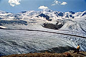 Valtellina Parco dello Stelvio - Ghiacciaio dei Forni.