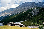 Valtellina Parco dello Stelvio - Baite di Campo sotto la Cima di Campo 