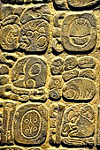 Chetumal - Museo de la Cultura Maya, reproduction of Maya glyphs. 