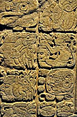 Chetumal - Museo de la Cultura Maya, Lintel 48 of Yaxchilan (reproduction) represnting the date 9.4.11.8.16 (534 dC). 