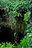 Chichen Itza - Cenote Ik Kil near the site