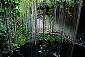 Chichen Itza - Cenote Ik Kil near the site