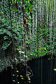 Chichen Itza - Cenote Ik Kil near the site