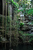 Chichen Itza - Cenote Ik Kil near the site