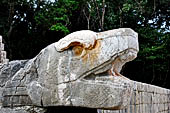 Chichen Itza - The Ball Game, serpent head of the moulding of the platforms on the sides.